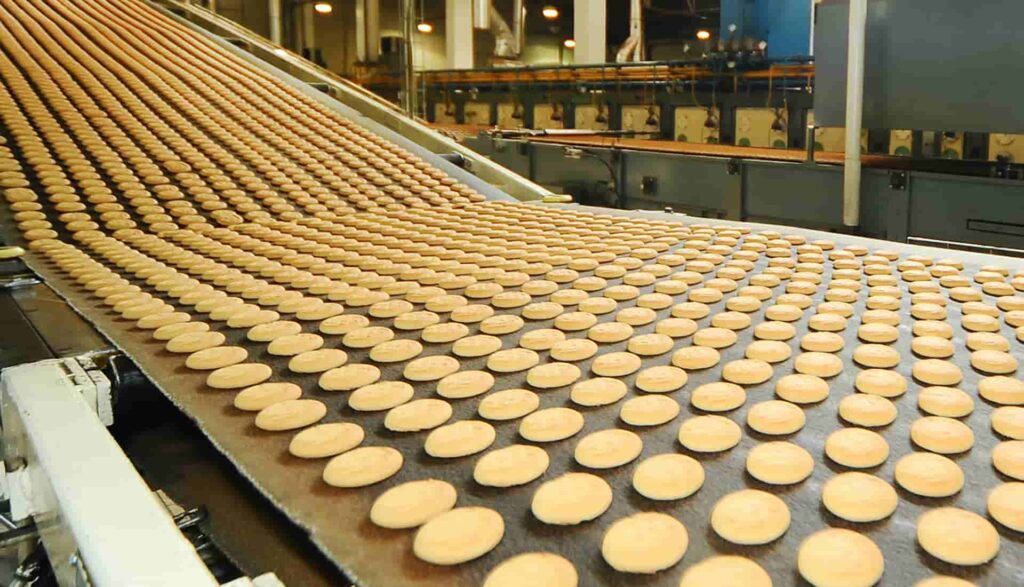 Cookie Conveyer Belt