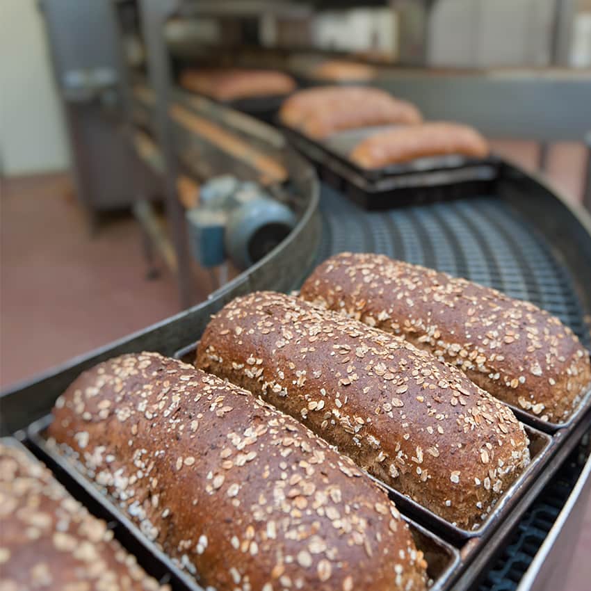 https://www.honeysource.com/wp-content/uploads/2021/05/bread-conveyor.jpg