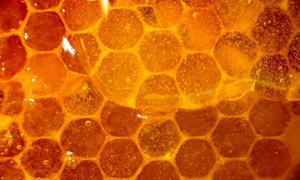 Quality Honey: How To Check the Purity of Your Honey