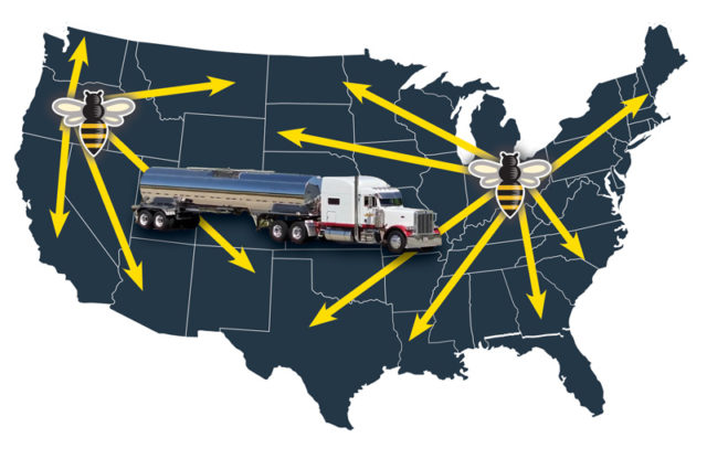 Map of USA showing honey distribution